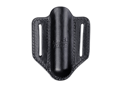 ALP-20 Feature Image