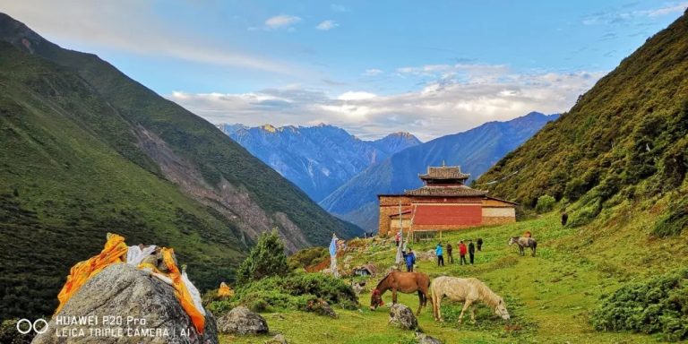 Fenix產(chǎn)品體驗|我們從未想過自己還有這樣的可能性